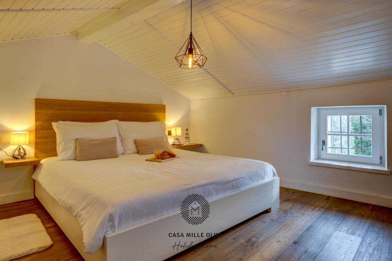 Casa Mille Olivi Villa Buzet Eksteriør bilde