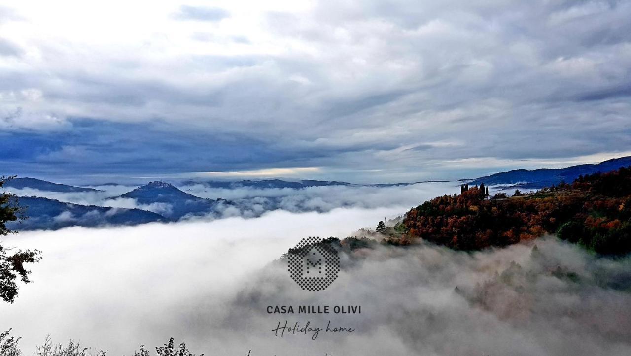Casa Mille Olivi Villa Buzet Eksteriør bilde